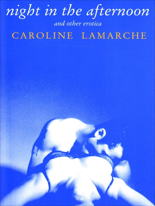 Cover image for Night in the Afternoon